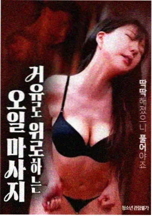 观测台图鉴之归档记录样本